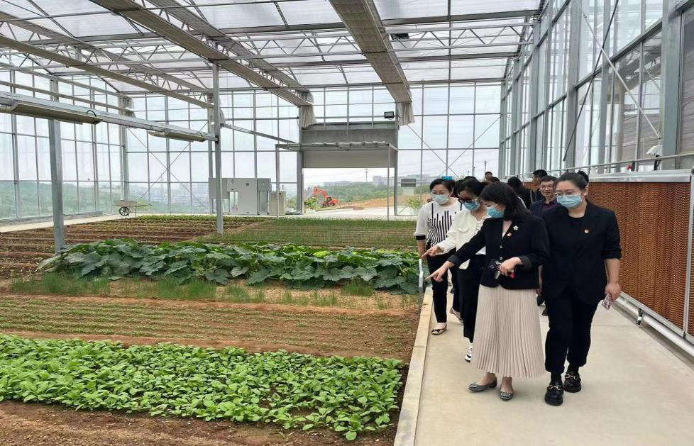 图片2.jpg 图片2.jpg