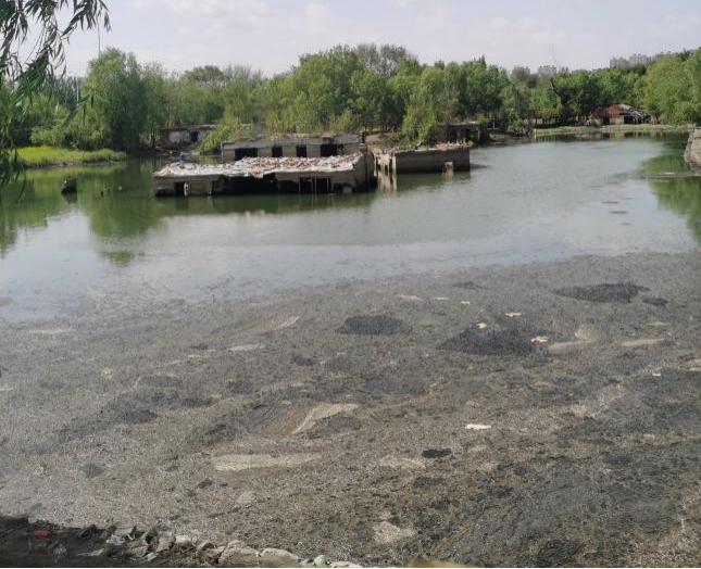 图片15.png 图片15.png